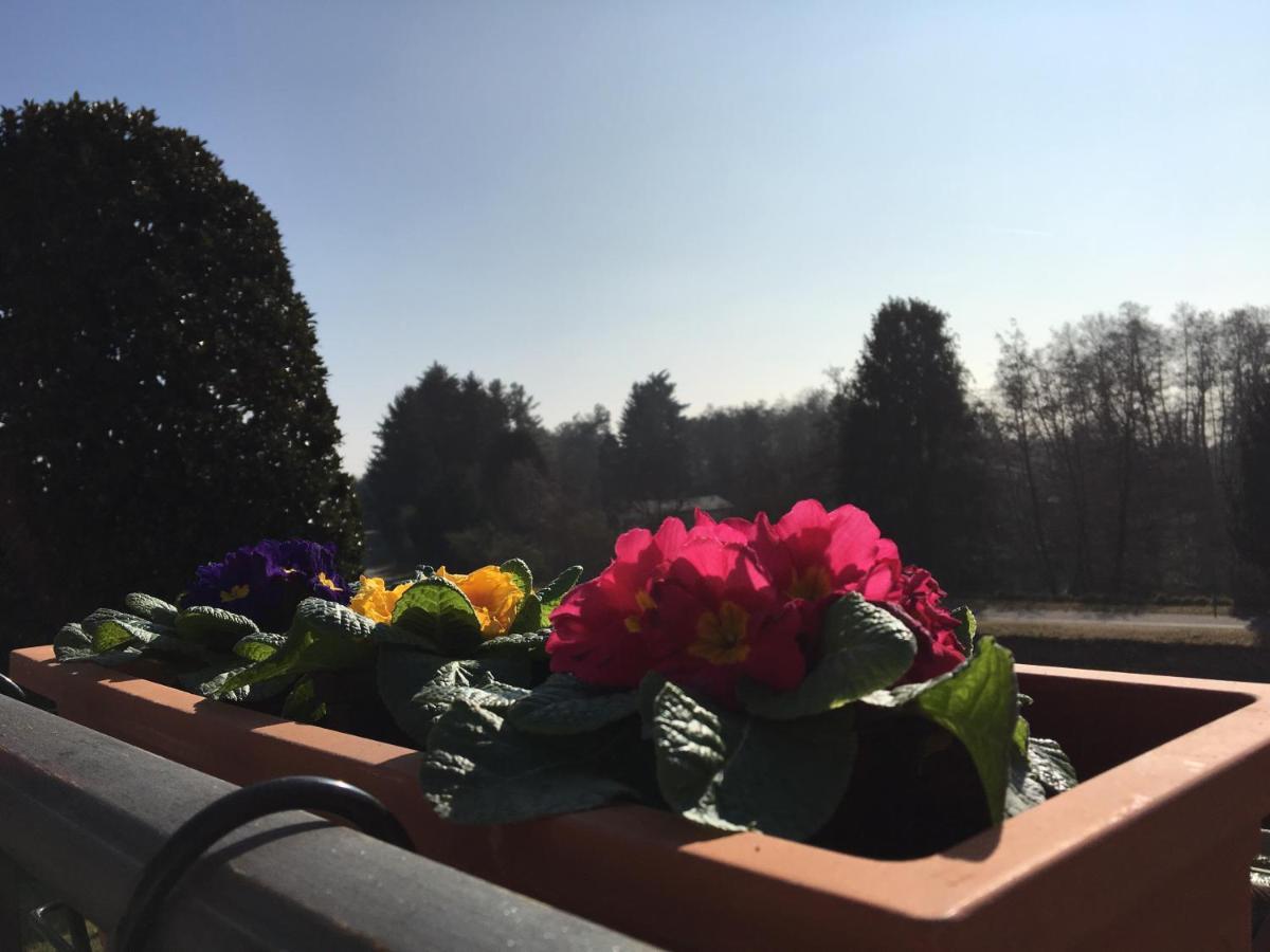 La Terrazza Sul Naviglio B&B Бернате-Тичино Экстерьер фото